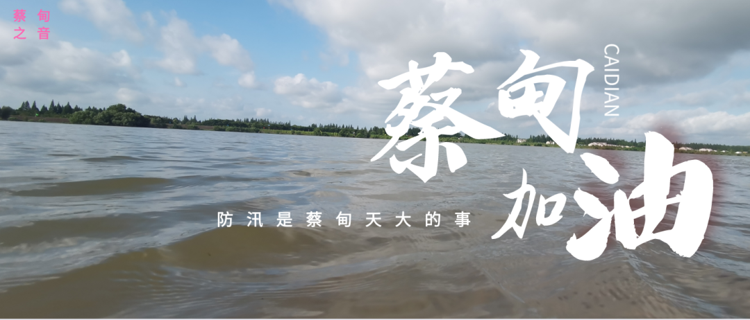 蔡甸區(qū)啟動(dòng)防汛ⅰ級應(yīng)急響應(yīng)，做好鋪土釘防汛木樁工作