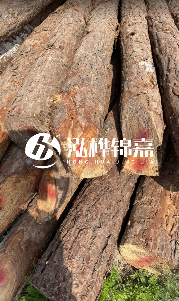 <strong>松木樁和杉木樁的用途區(qū)別？哪個(gè)更適合打樁用？</strong>