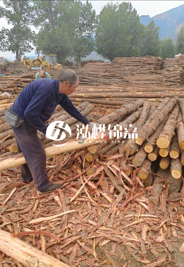 東營河道清淤專業(yè)施工隊-不同型號挖機清淤能力對比？
