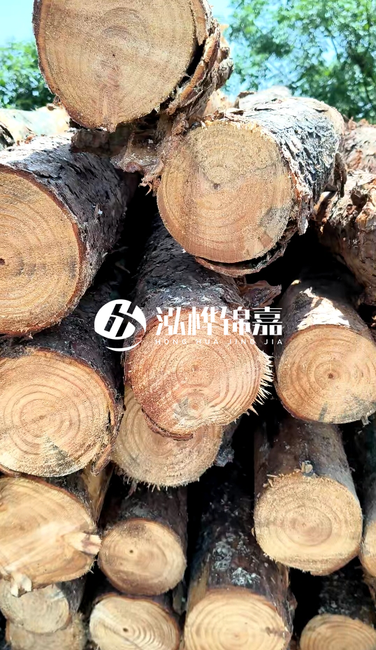 周口挖機打木樁專業(yè)施工-杉木樁施工打樁怎么打？