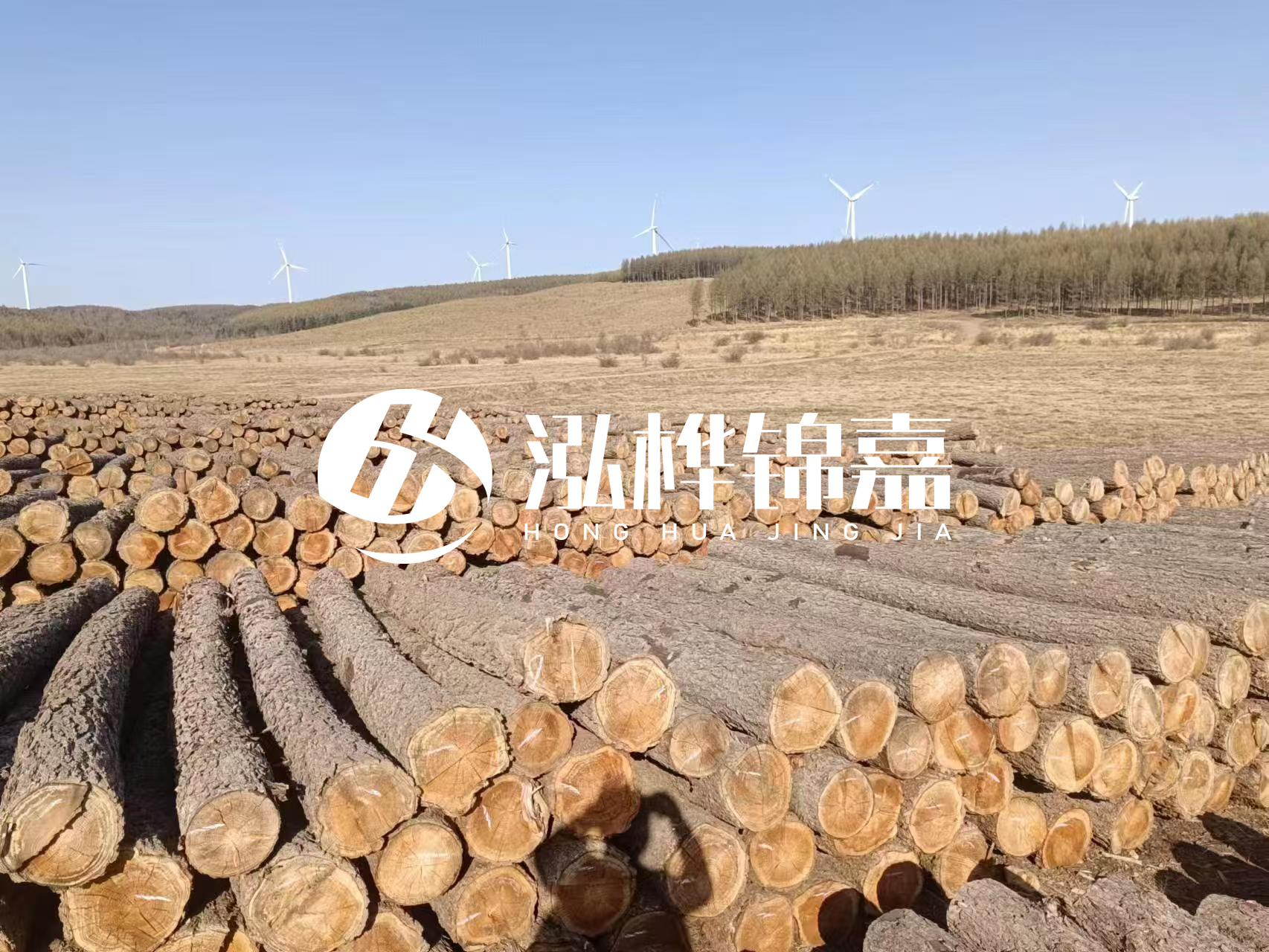 咸寧松木樁源頭廠家-哪里能買到質量好的松木樁打樁木？