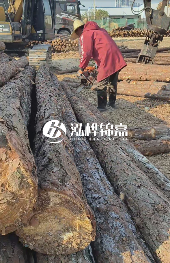 長沙打樁木批發(fā)廠家在哪里？聯(lián)系方式是什么？