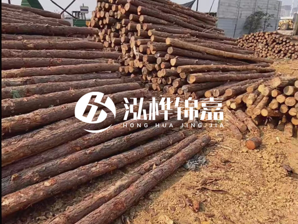 河道木樁施工遇到淤泥怎么辦？打多深才能防沖刷？