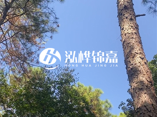 松木樁廠家的供貨能力強不強-怎么才能聯(lián)系到松木樁廠家？