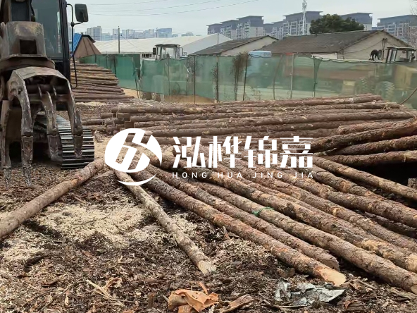 2 米長(zhǎng)度松木樁多少錢(qián)？松木樁 10 一 15 公分價(jià)格？