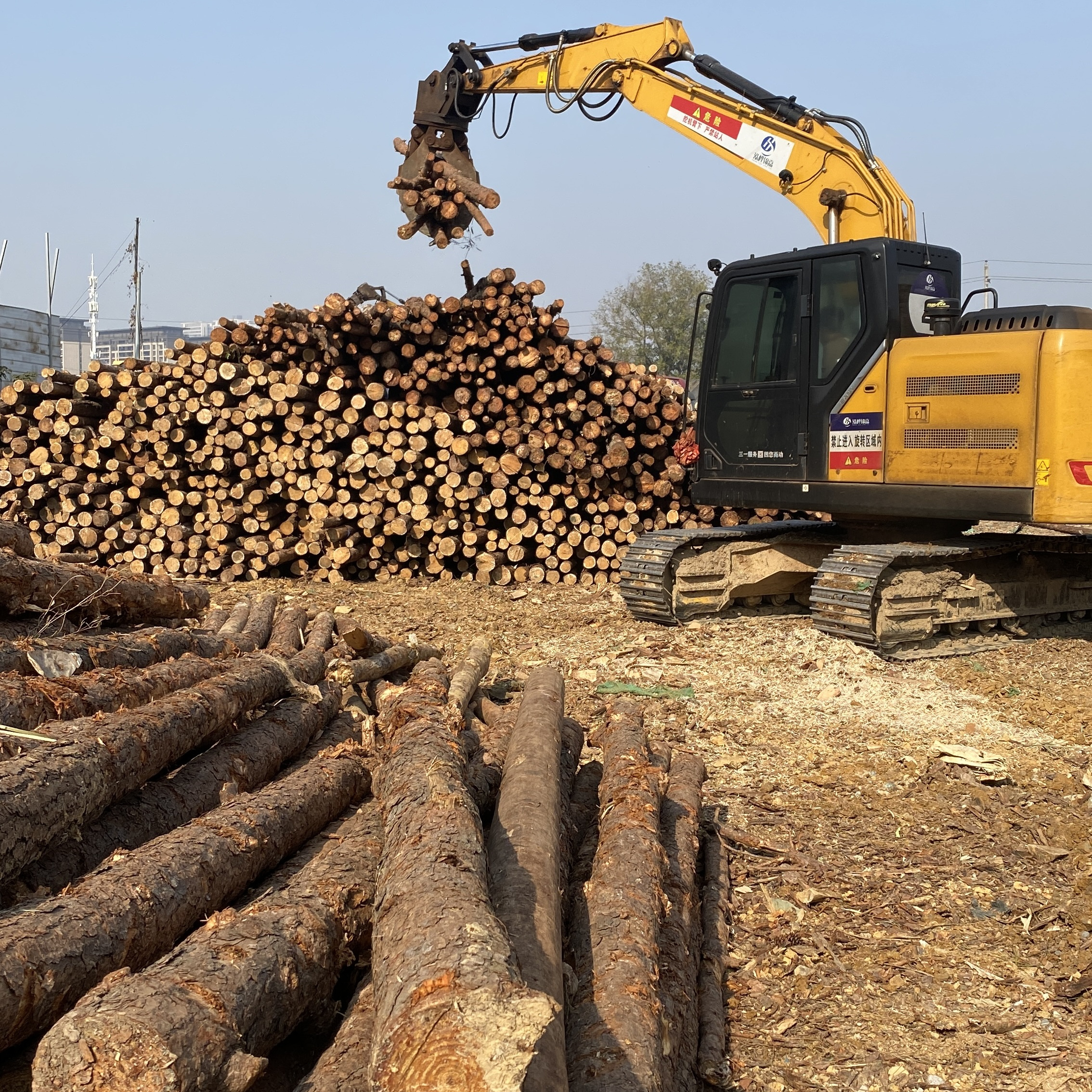松木樁廠家泓樺錦嘉-濕地松原木的價格大概是多少？