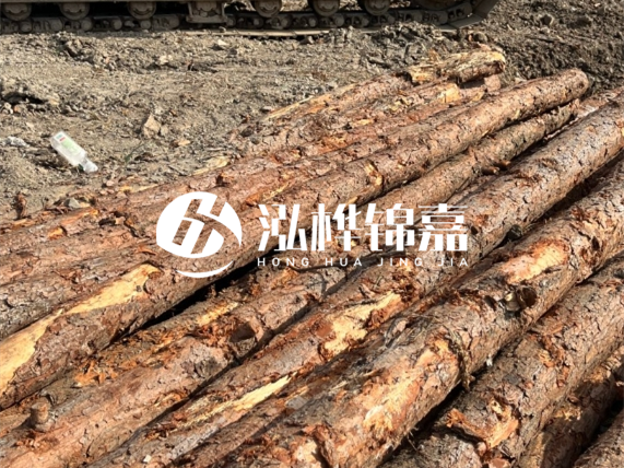 松木樁廠家泓樺錦嘉-原木松木樁的材質(zhì)是落葉松還是濕地松好？