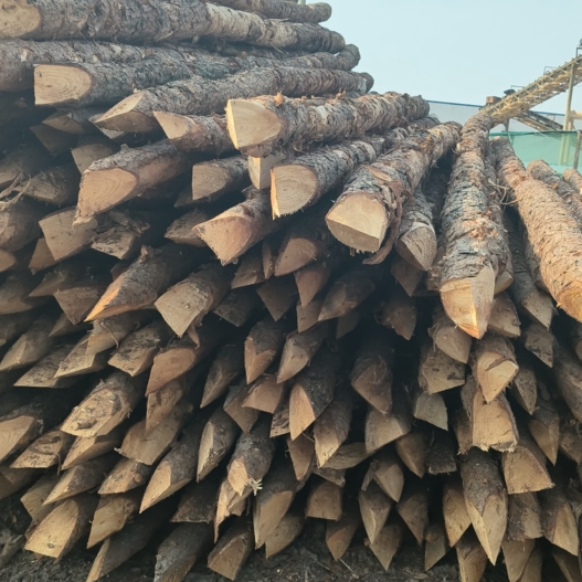 松木樁施工隊(duì)泓樺錦嘉 - 河道改造用什么規(guī)格的打樁木？