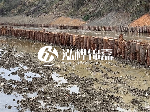 松木樁施工隊(duì)泓樺錦嘉 - 河道打松木樁施工流程？