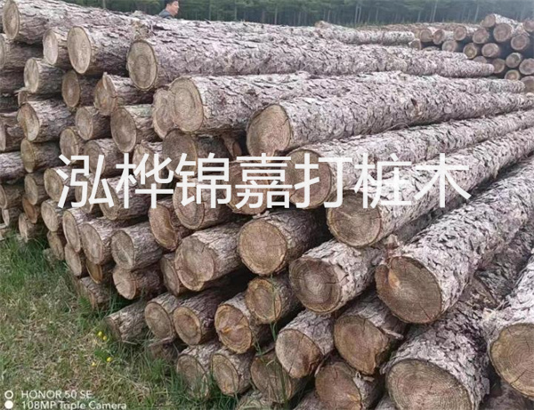高效修補，保駕護航！水泥路面高強度修補料為您解決煩惱！