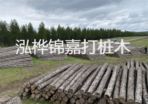 鋼結(jié)構(gòu)施工方案大全免費提供，助力工程建設(shè)