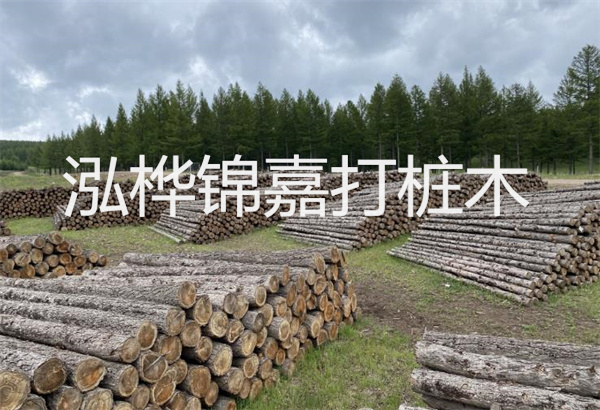 預(yù)制松木樁施工工藝：優(yōu)質(zhì)材料，高效快速，堅(jiān)固耐用