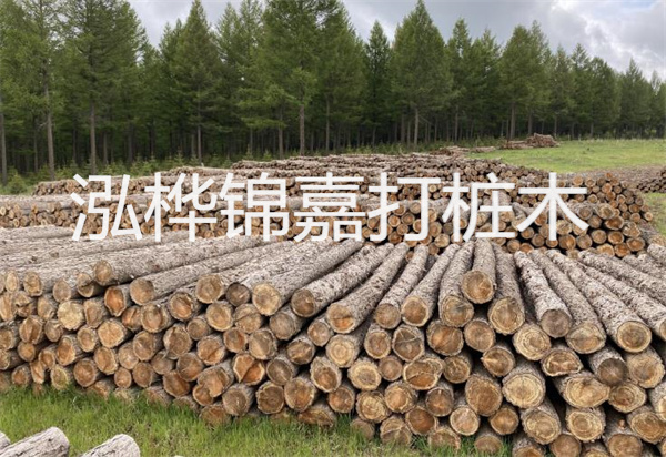 松木樁能施工嗎？探究視頻揭秘真相！