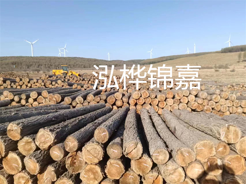 溫州松木樁施工廠家——為您打造堅(jiān)固穩(wěn)定的建筑基礎(chǔ)！