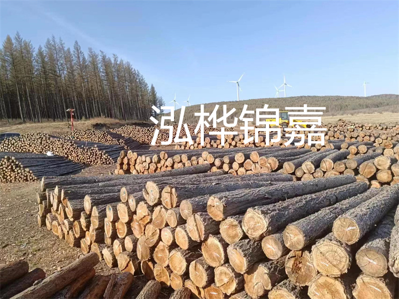用路基松木樁施工方案提升工程質(zhì)量描述：了解路基松木樁施工方案的重要性，提高工程質(zhì)量關(guān)鍵詞：路基松木樁，施工方案，工程質(zhì)量
