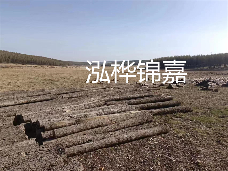鄂州松木樁哪里好？推薦泓樺錦嘉松木樁業(yè)！